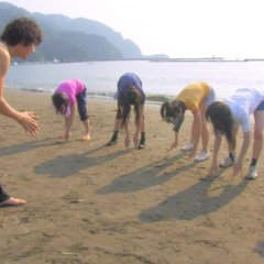 Sorasoi Japanese Movie photo