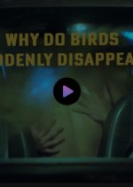 Why Do Birds Suddenly Disappear? Philippines Movie(2019) photo