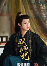 Rise of the Forsaken Consort Chinese Drama(2025) photo