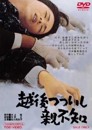 A Story From Echigo (1964) poster