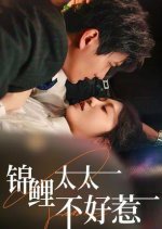 Jin Li Tai Tai Bu Hao Re Chinese Drama photo