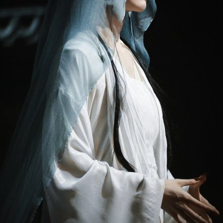 Veil of Shadows ()