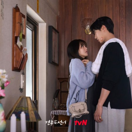 Head over Heels (2025)