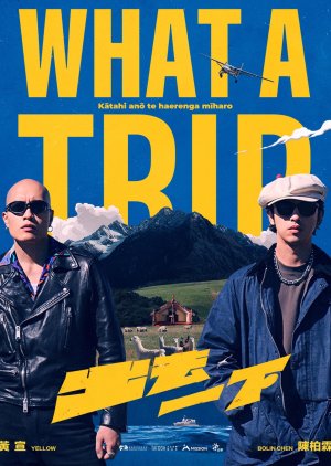 What a Trip (2025) poster