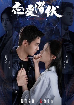 Love Lurking poster