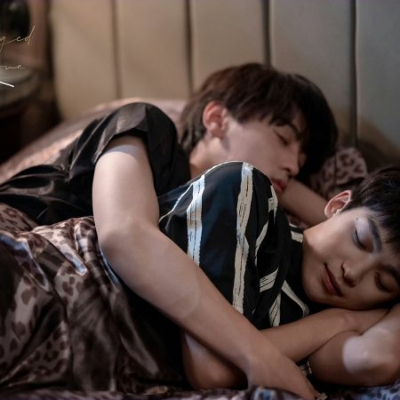 Revenged Love (2025)