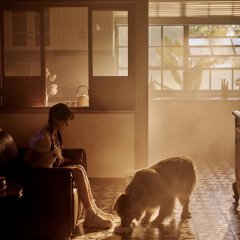 Your Love Chinese Drama(2025) photo