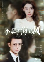 Wind Does Not Belong to the Sea Chinese Drama(2025) photo