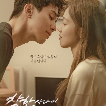 The Nice Guy (2025)