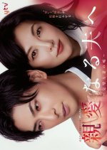 Shinainaru Otto e: Kanpekina Tsuma no Uso