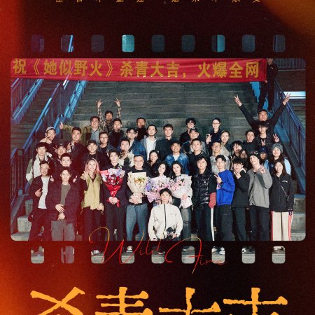 Ta Si Ye Huo ()