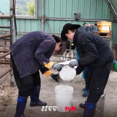 GBRB: Farm Operation - Go Go Farm Korean TV Program(2026) photo