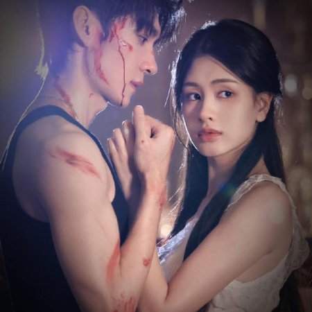 Bright Moon of Spring Night (2025)