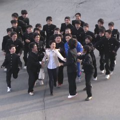 Sakura Japanese Drama(2002) photo