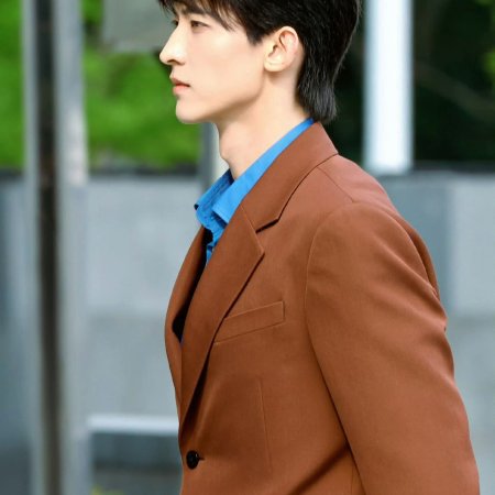 The Vanishing Beauty ()