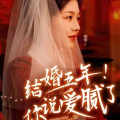 Jie Hun Wu Nian! Ni Shuo Ai Ni Le Chinese Drama photo