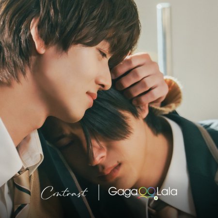 Contrast (2026)