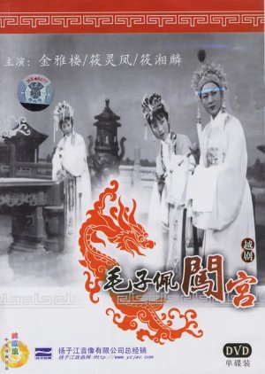 Mao Zi Pei Chuang Gong (1963) poster