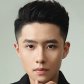 Zhai Zhao Xing