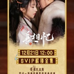 Phoenix's Homecoming Chinese Drama photo