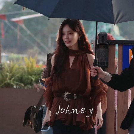 The Vanishing Beauty ()