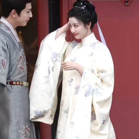 A Ming Dynasty Adventure ()