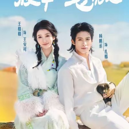 Fang Yang Ba Lao Ban (2025)