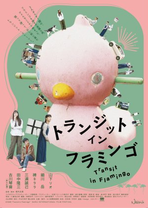 Transit in Flamingo (2026) poster