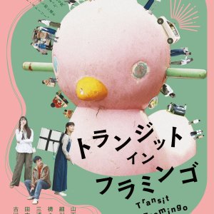 Transit in Flamingo (2026)