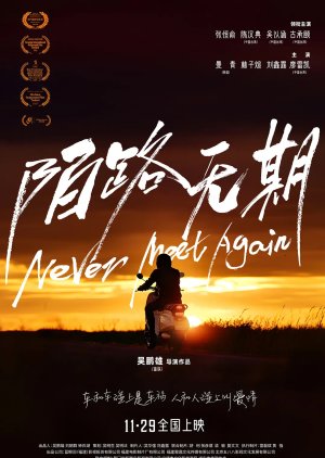 Never Meet Again (2024) poster