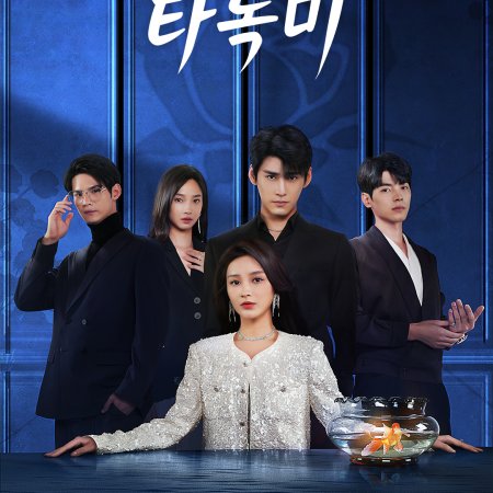 Beneath the Contract (2025)