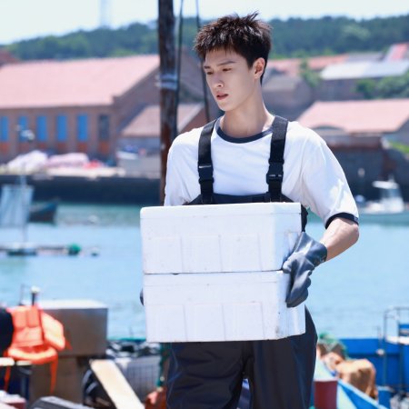 Dazzling (2026)