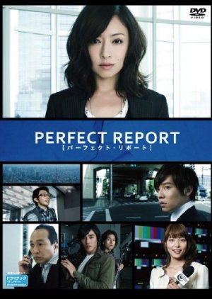 Perfect Report (2010) poster