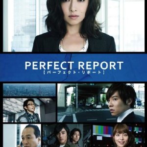Perfect Report (2010)