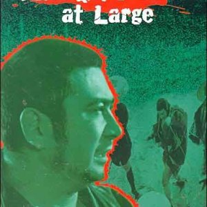Zatoichi at Large (1972)