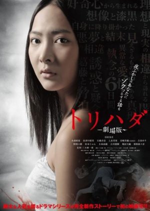 Torihada: The Movie (2012) poster