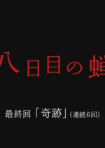 Youkame no Semi Japanese Drama photo