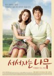 Standing Sleeping Tree korean movie review