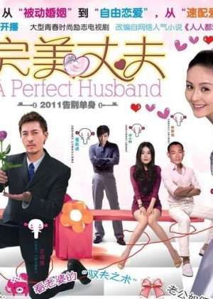 A Perfect Husband (2011) poster