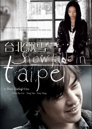 Snowfall in Taipei (2009) poster