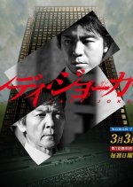 Lady Joker Japanese Drama(2013) photo