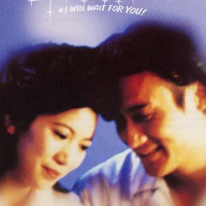 I Will Wait for You (1994)