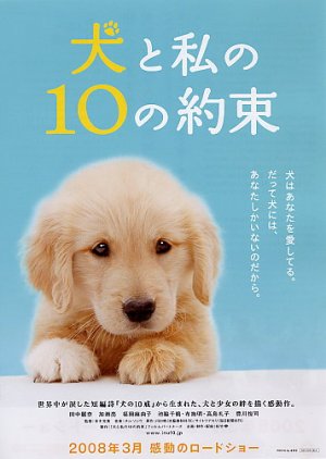10 Promessas ao Meu Cachorro (2008) pôster