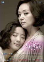 Pure Pumpkin Flower Korean Drama photo