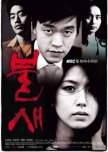 Phoenix korean drama review