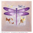 onlydragonfly