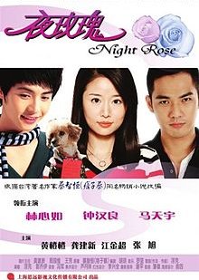 Evening of Roses (2009) poster