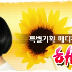 Sunflower 1998 MyDramaList