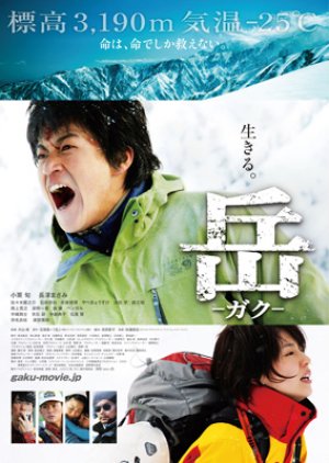 Peak: The Rescuers (2011) poster