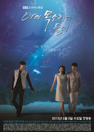 I Hear Your Voice 2013 Mydramalist